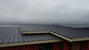 Best Roof Leak Repair  in Gold Canyon, AZ